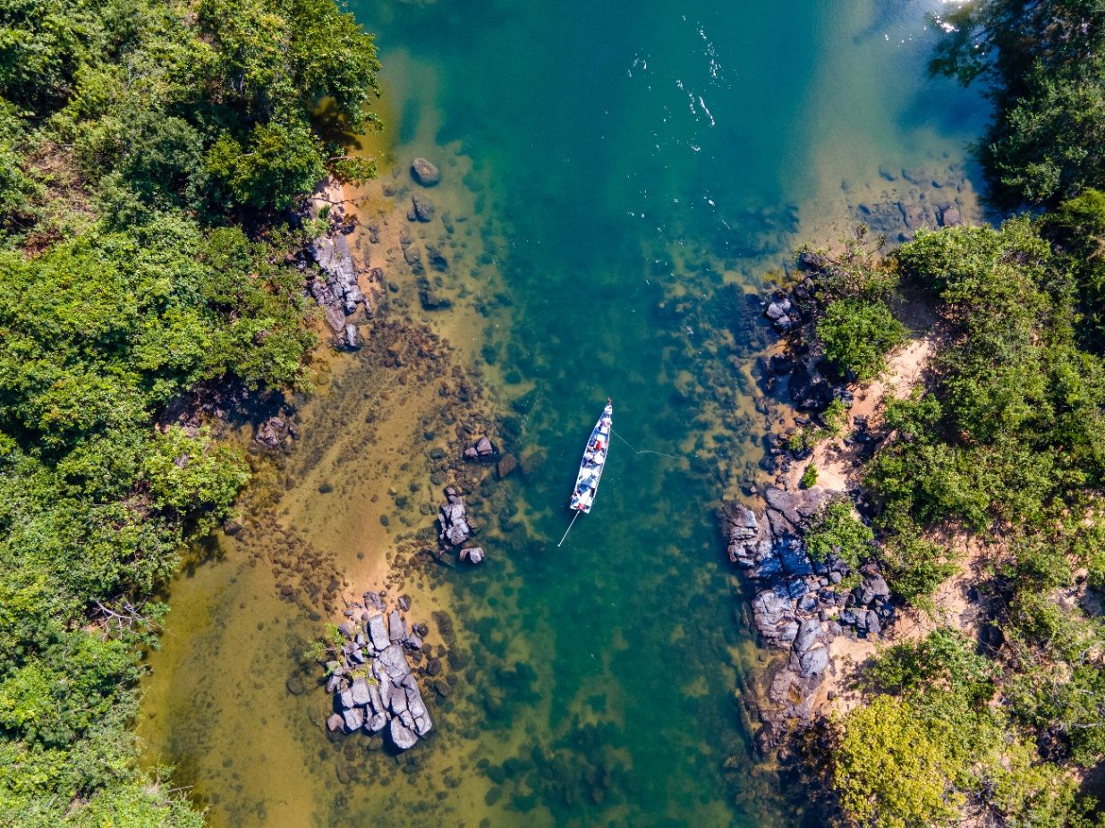 ian Adventure - Peacock Bass In The Heart of the Rainforest - Emily  Graham writes on Scribehound