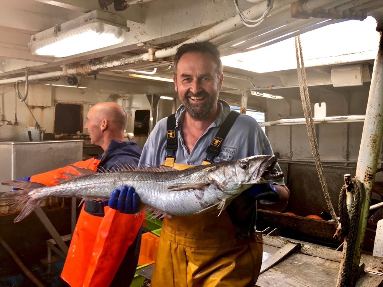 All Hail the Hake! - Mike Warner writes on Scribehound