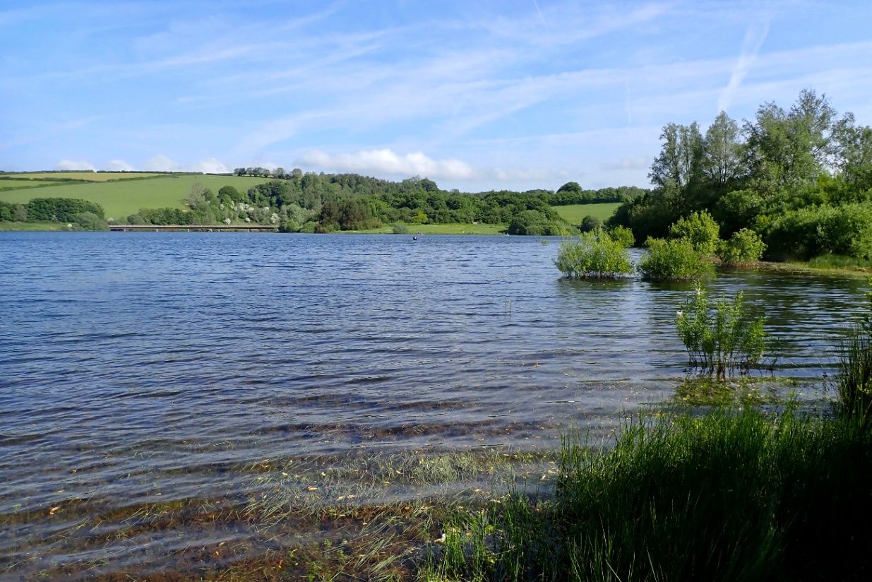 A mid February day on the Somerset levels - Rodney Wevill writes on  Scribehound