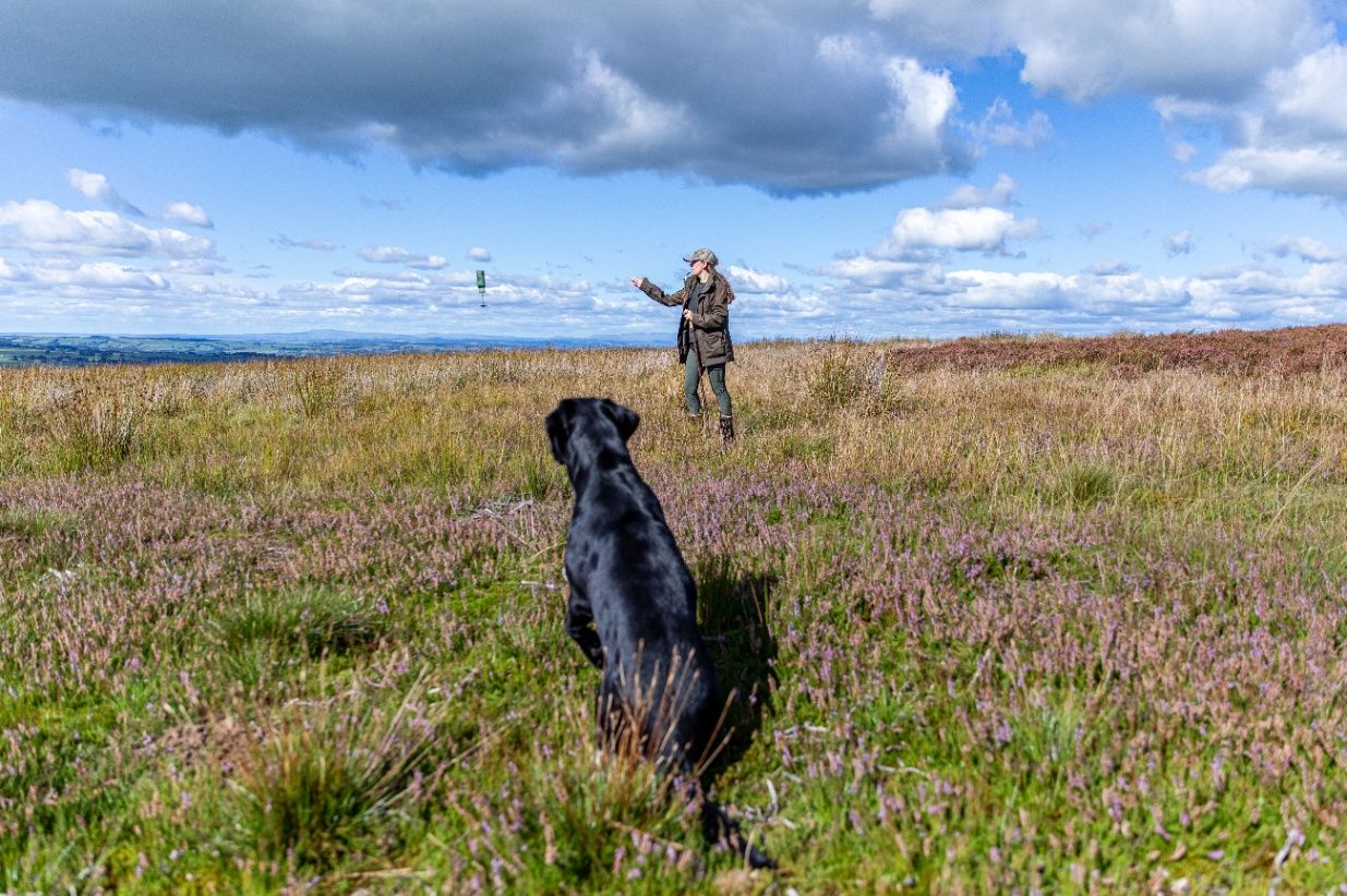The Secret World of Picker Uppers Behind the Scenes of a Serious Job