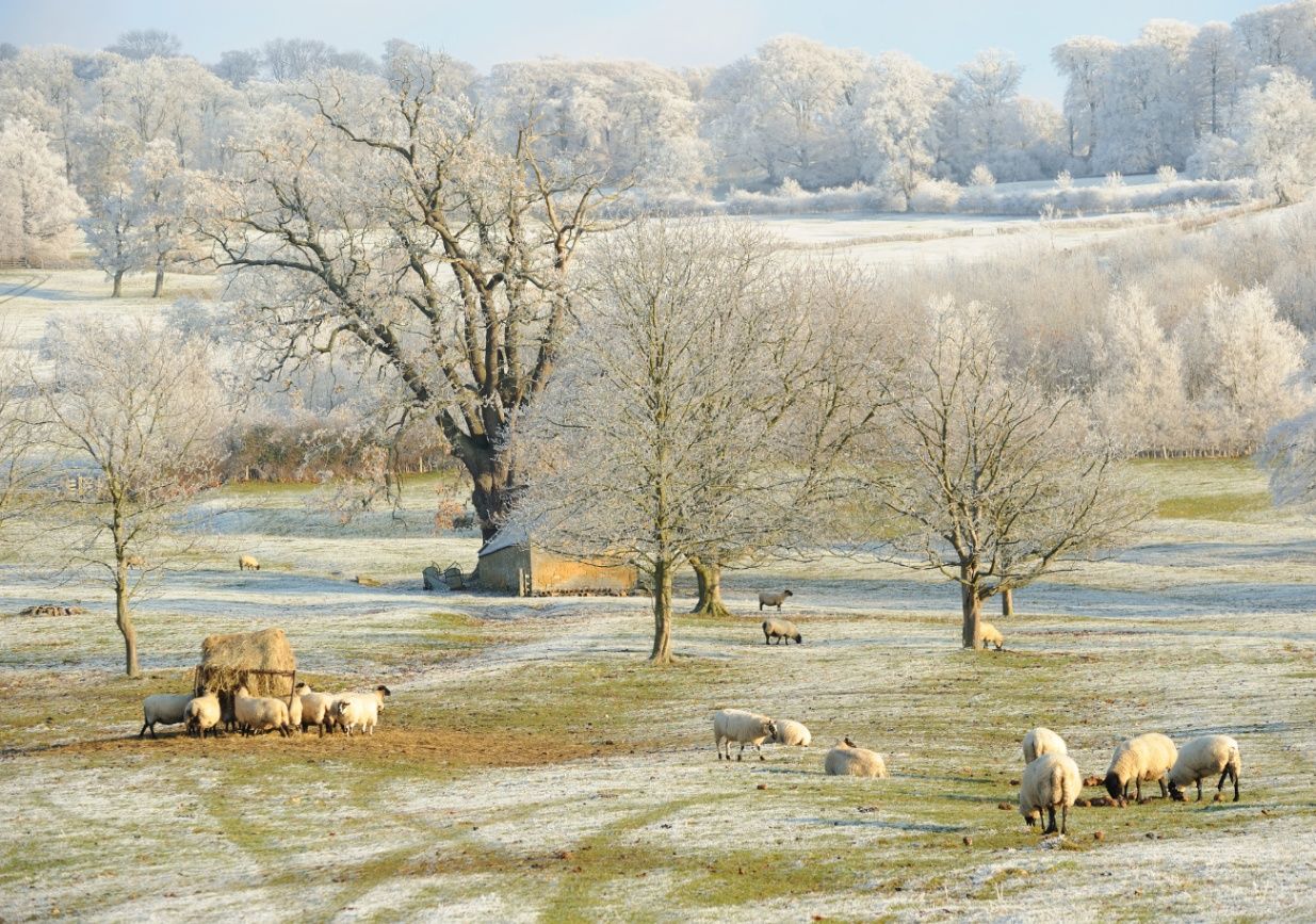 Weather Extremes And Election Drama What To Expect In 2024 Adam   Images 11620242PM IStock 183376946 