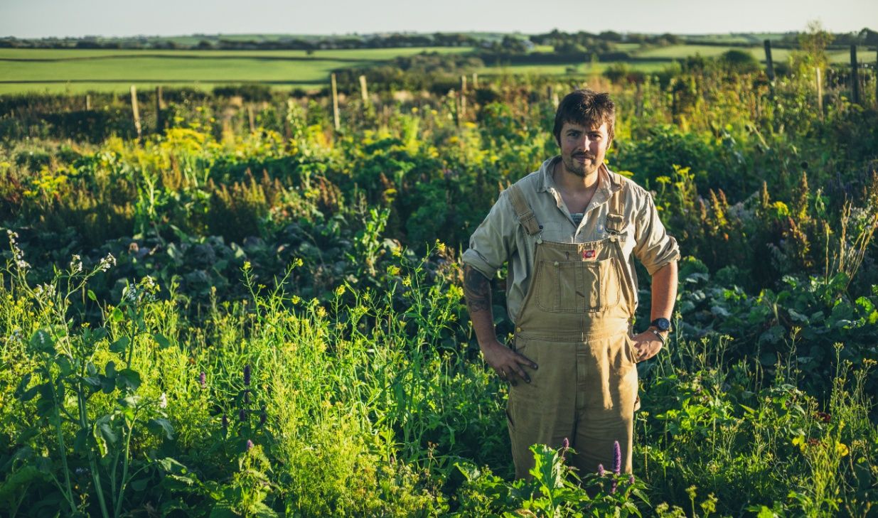 the-most-exciting-edible-garden-in-britain-huw-richards-writes-on