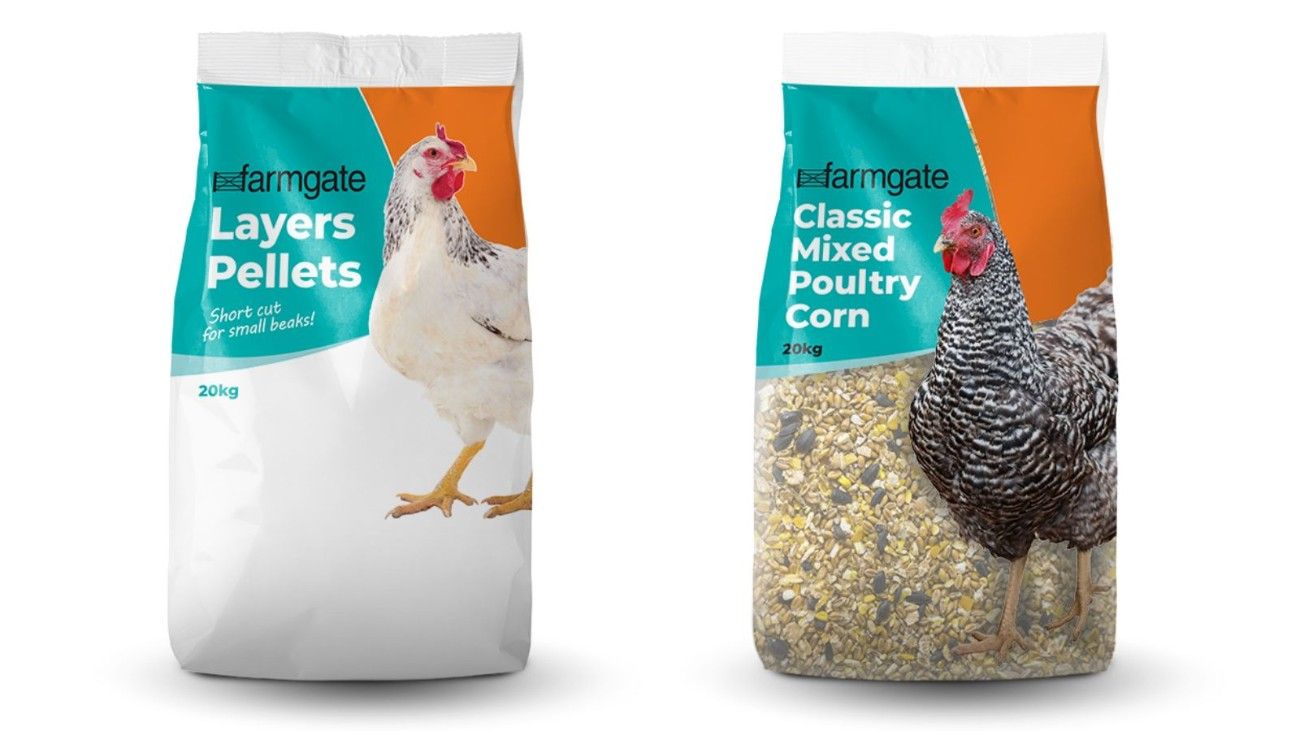 Keeping Chickens: What You Need to Know Before You Get Started - GunsOnPegs