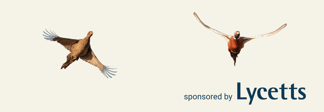 The Great Shoots De Brian P Martin | World Of Books FR