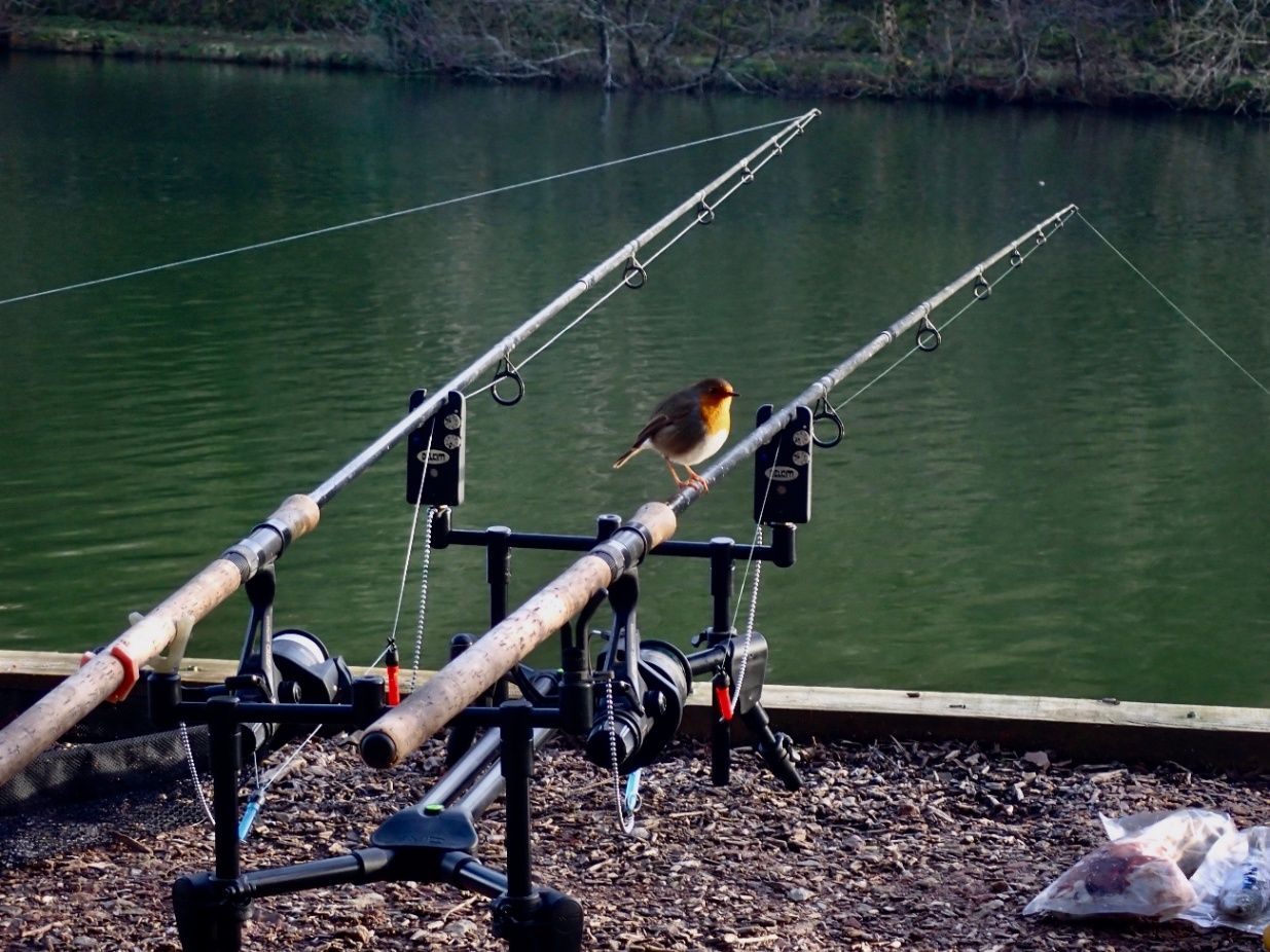 Chew Valley Lake Archives - North Devon & Exmoor Angling News