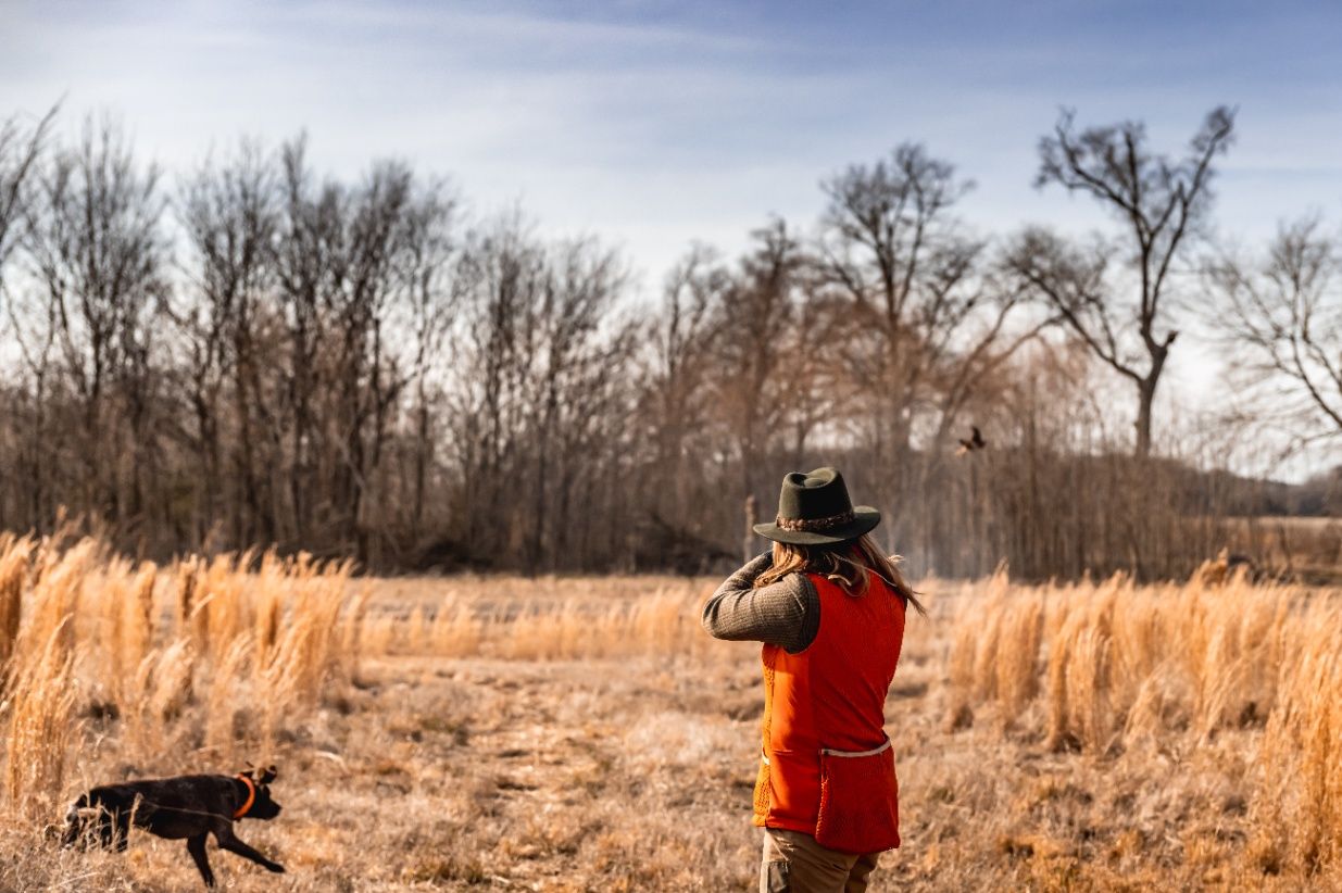 The Little Brown Dog: Hunting Quail with a Boykin Spaniel in the USA