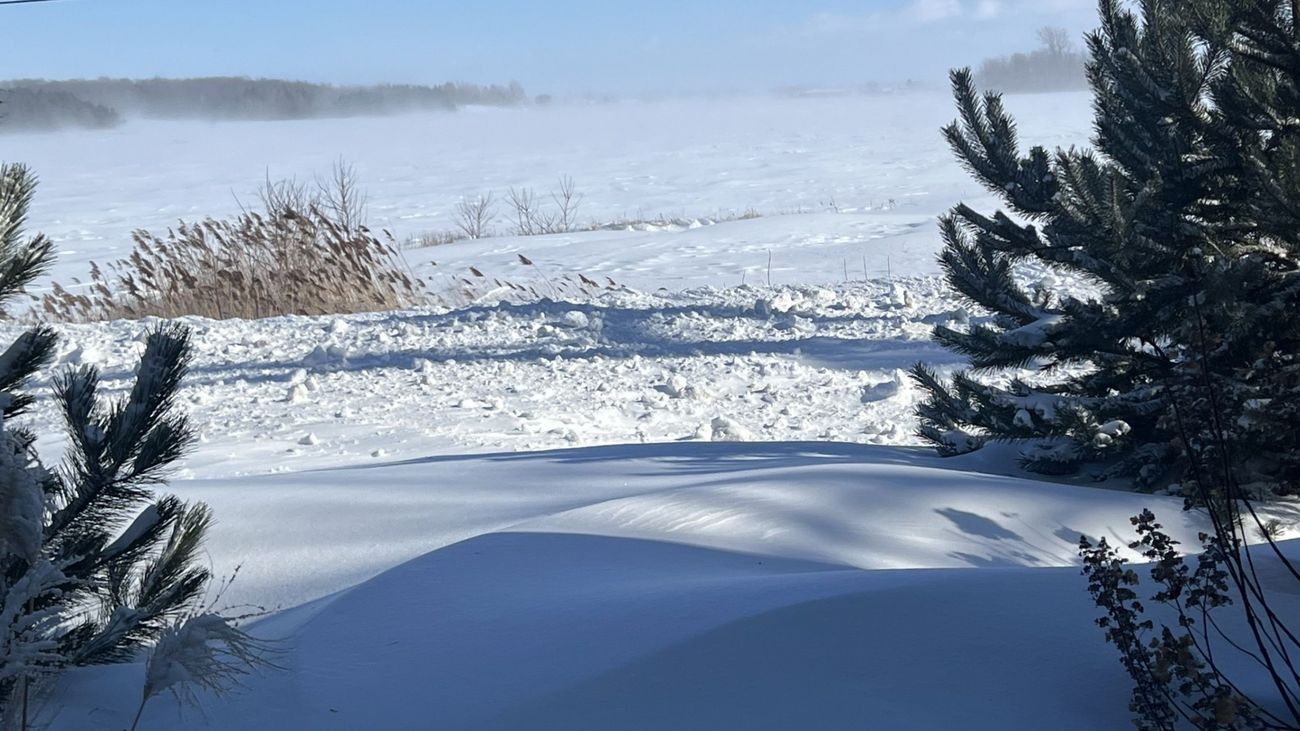 Snowed In Gardener: Winter Envy