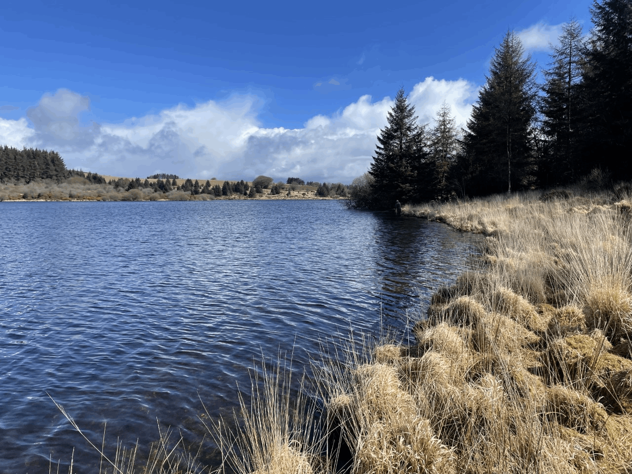 Discovering Fernworthy: A Trout Fishing Adventure on Dartmoor - Rodney  Wevill writes on Scribehound