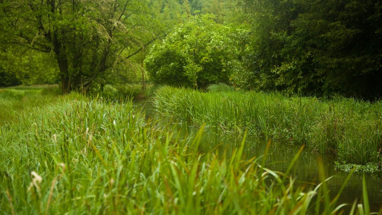 Muddy Waters: Privatised Water Is A National Disgrace
