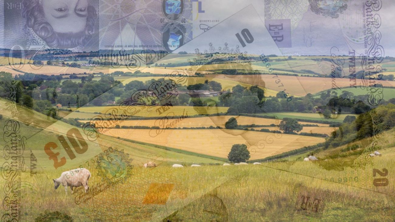 LIVESTREAM: What does the Budget mean for the countryside?
