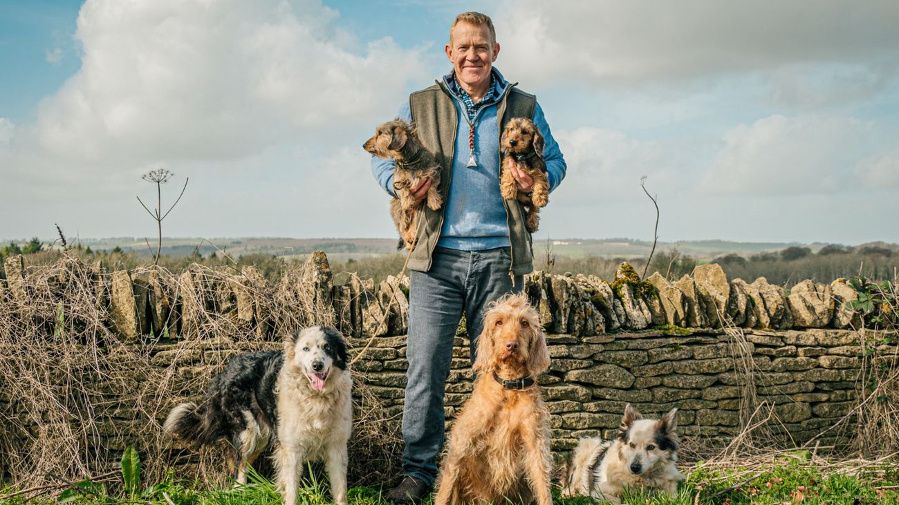 Meet the Loyal Companions Who Changed My Life