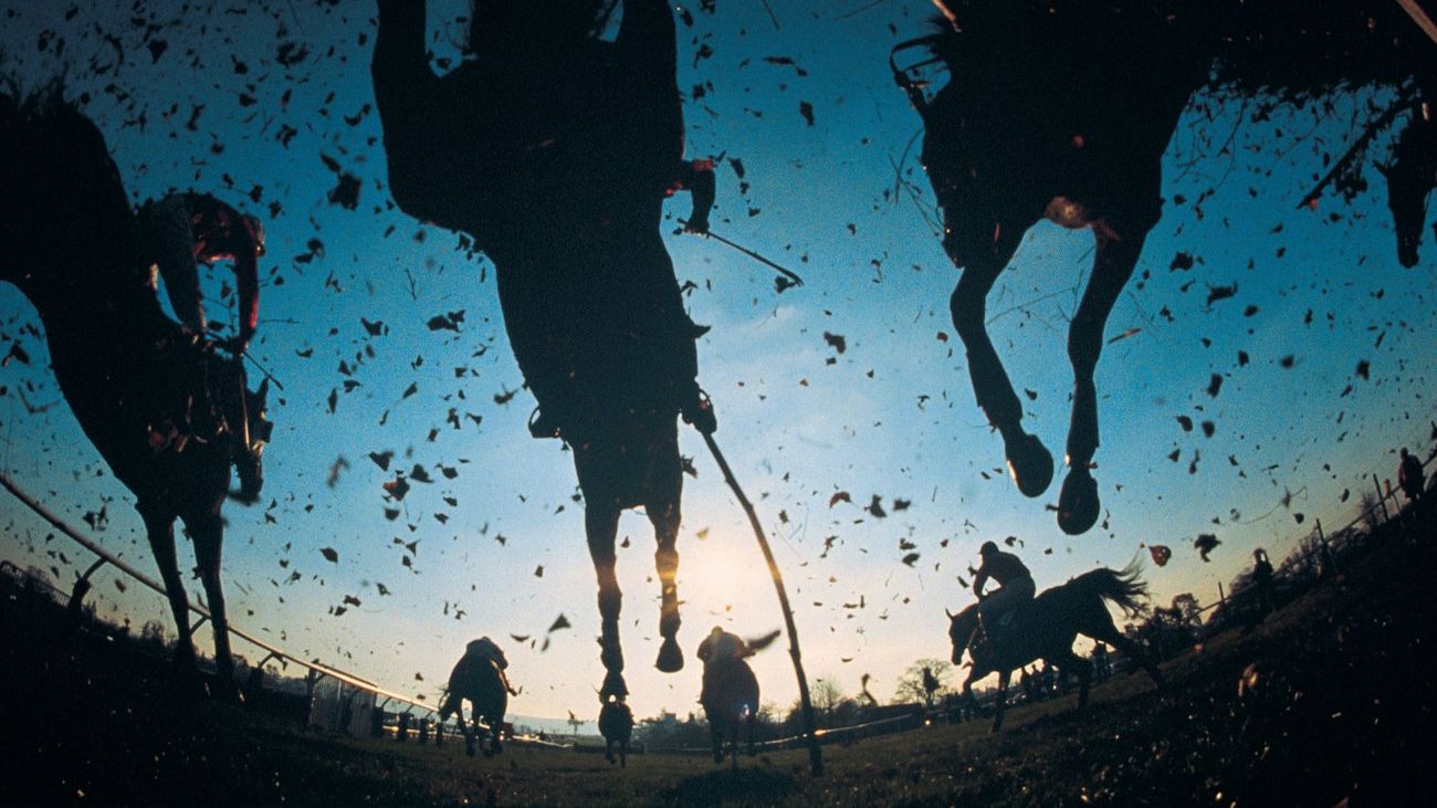 How to win the Grand National