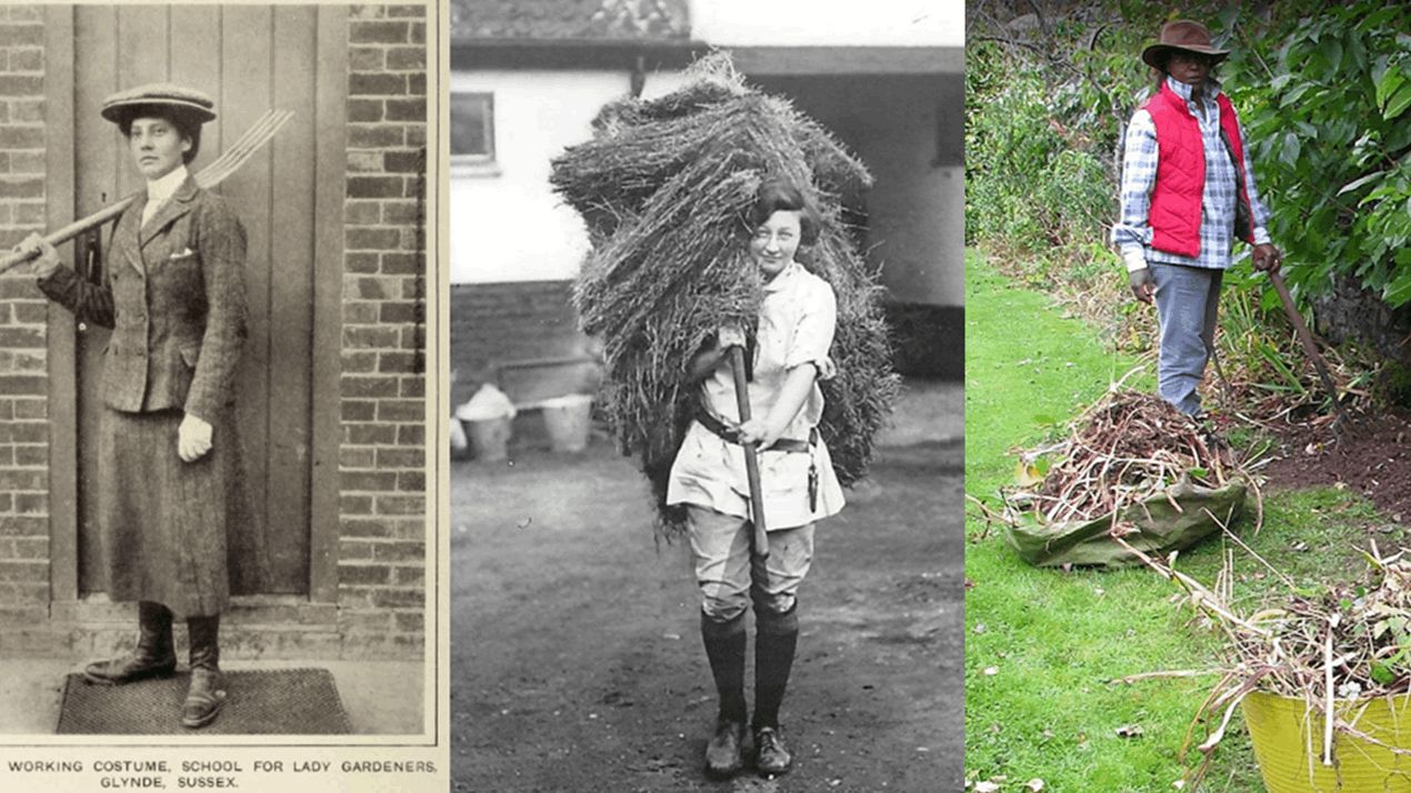 From 'Surplus' Women to Thriving Gardeners: A Historic Evolution