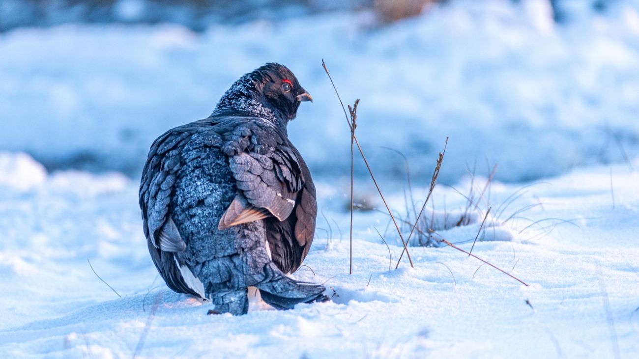 Alone In The Pennines