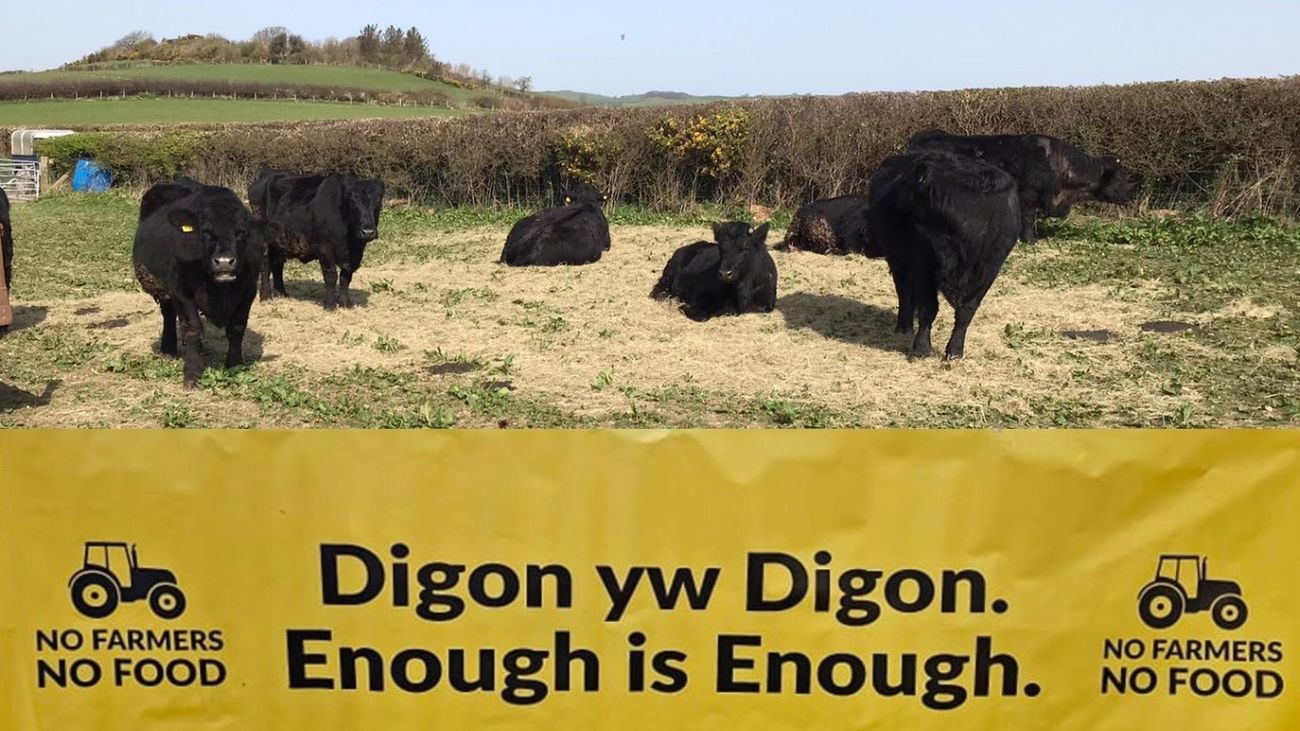 Rural Crisis in Wales: Ignored Farmers and Impending Financial Loss