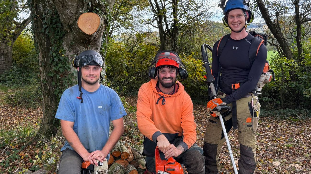 Branching Out - I've Got the Tree Surgeons In