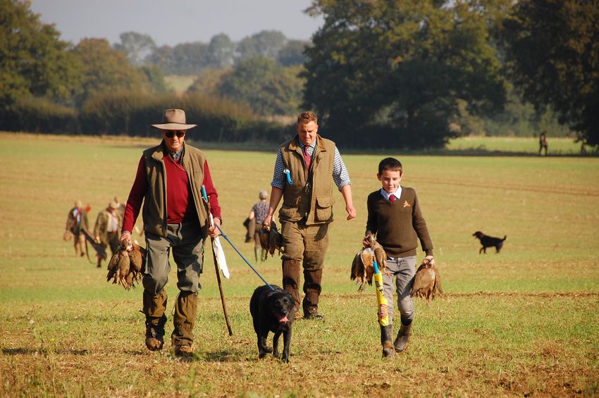 Terling Estate Shoot, Essex - Availability on GunsOnPegs