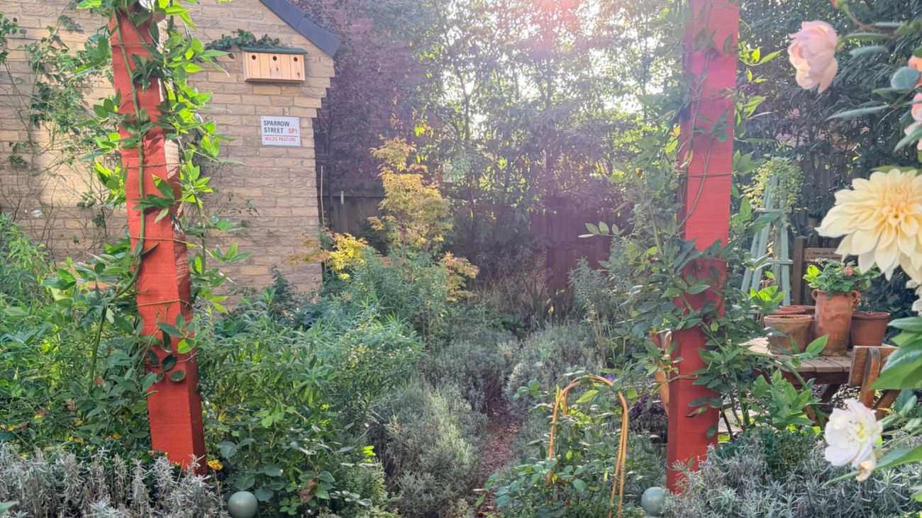 Every Garden Was Once New