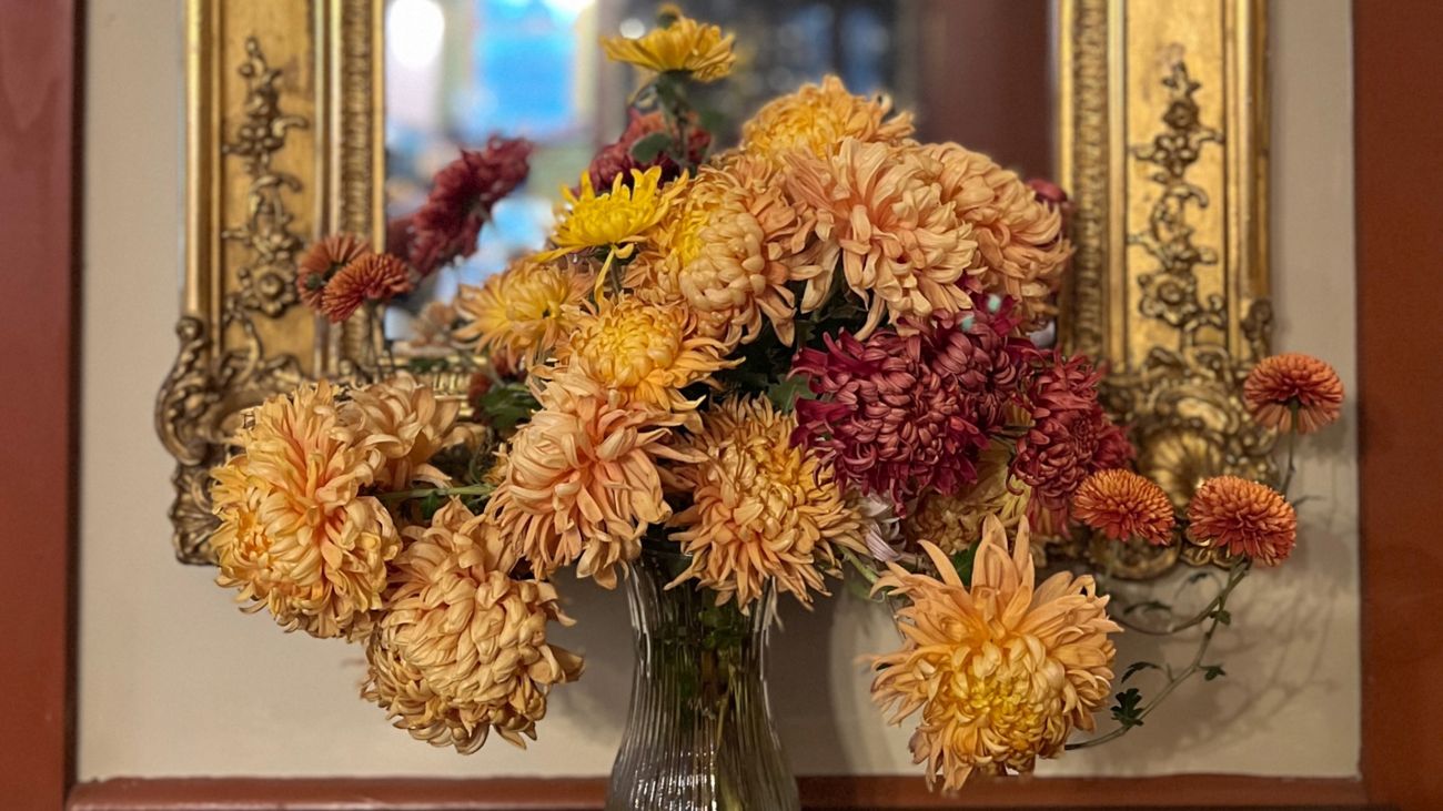 Chrysanthemums in the Season of the Sticks