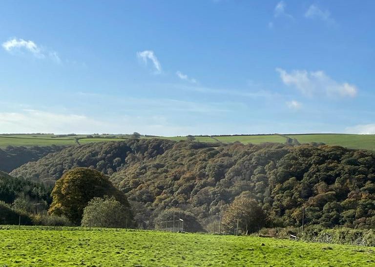 Sporting Club, Somerset Availability on GunsOnPegs