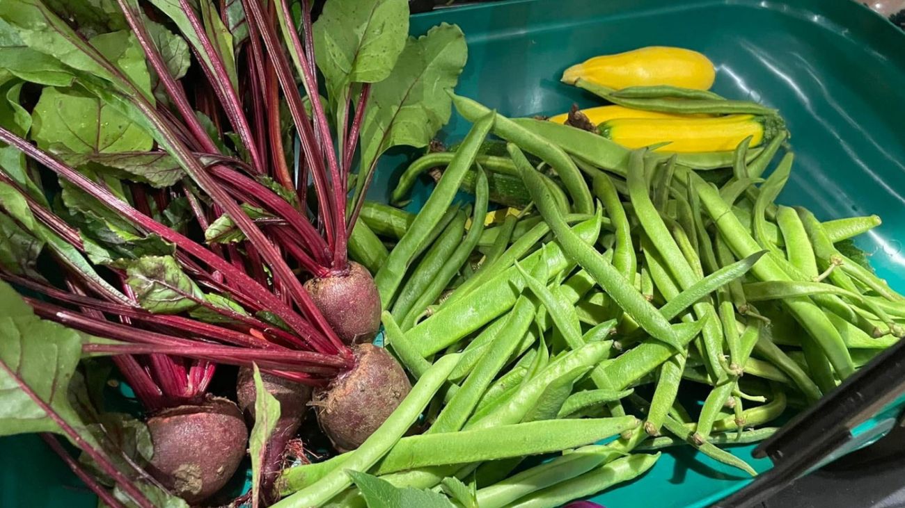 Secrets of the Allotment: Love, Loss, and Leeks