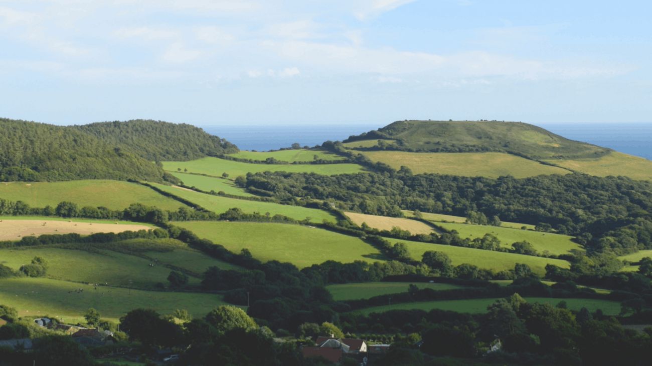 Escaping to River Cottage, Again
