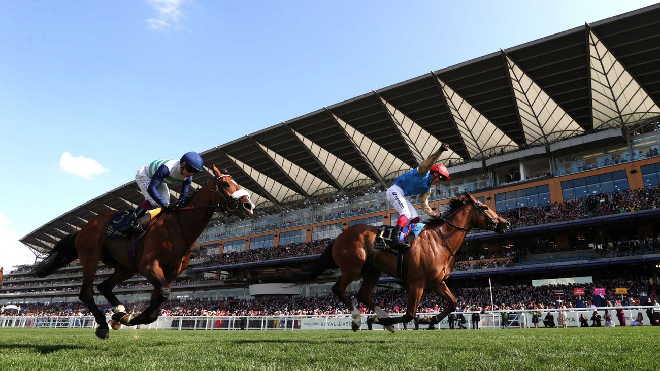 How to Survive Royal Ascot