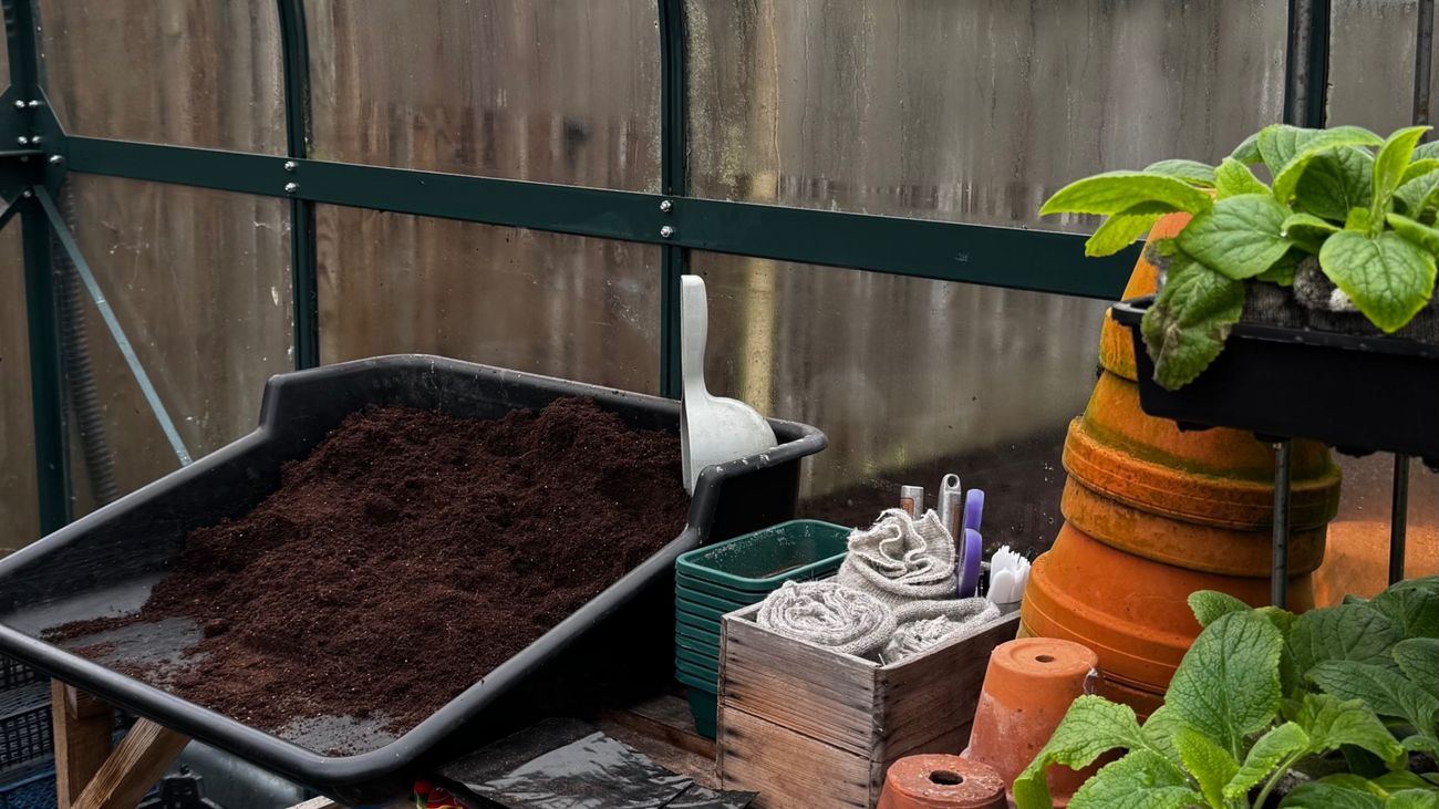How to make your own seed sowing compost at home