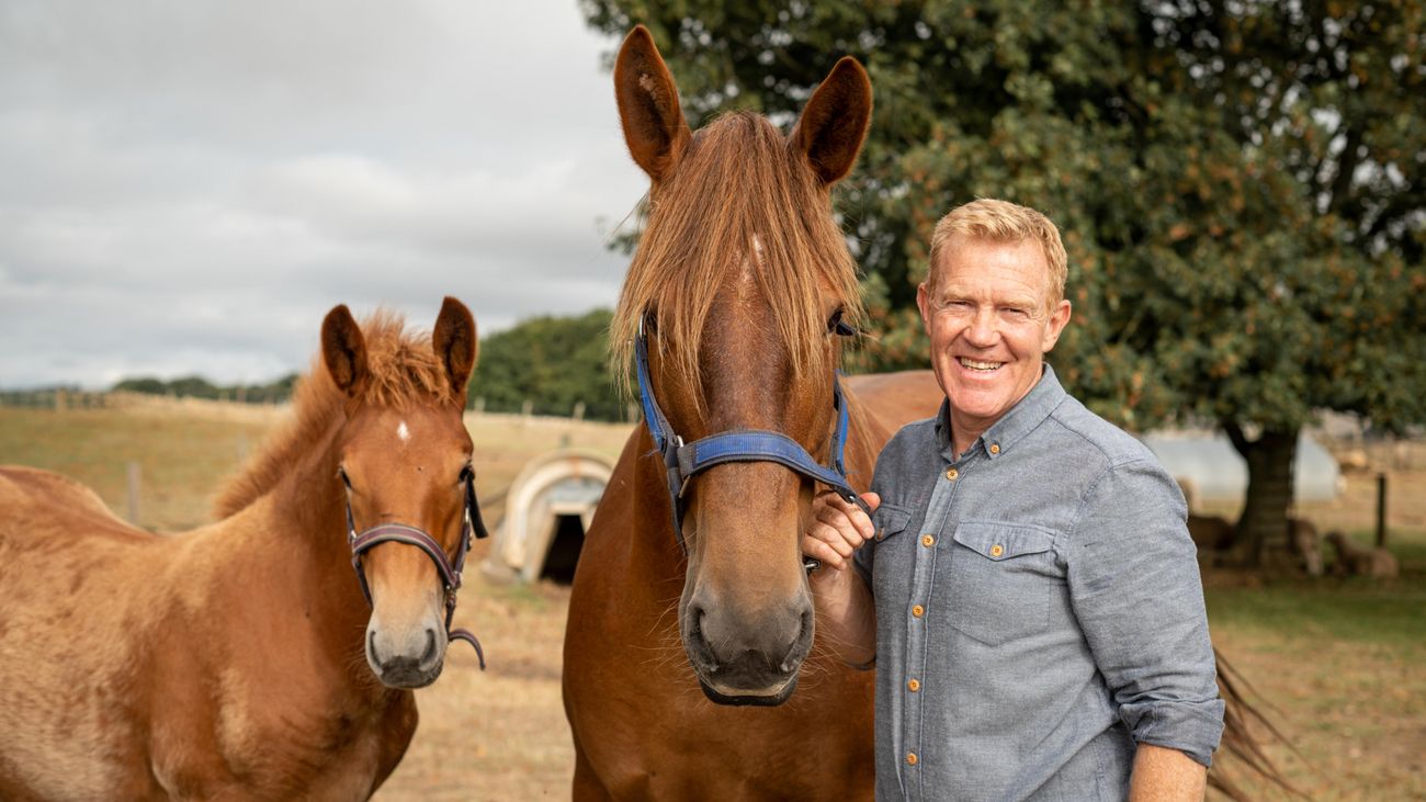 From Soays to the Suffolk Punch: Britain's Beloved Rare Breeds