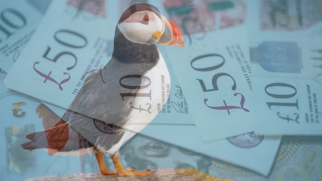 The Astonishing Waste in Conservation Industry Funding
