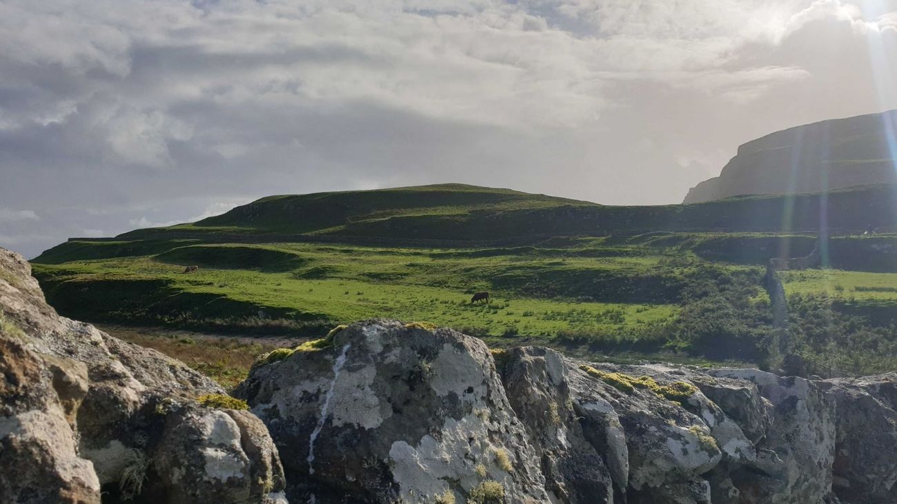 Why Partridge Shoots May Be Saving Our Wild Uplands