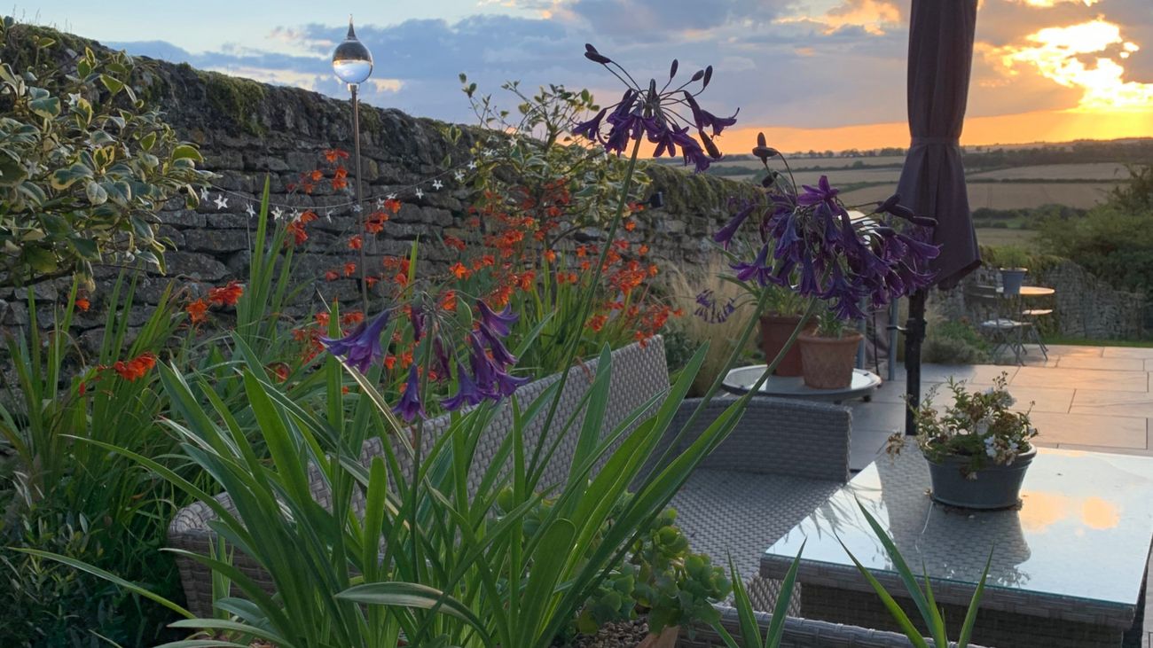 Discover Your Dream Garden: Start with These Five Questions