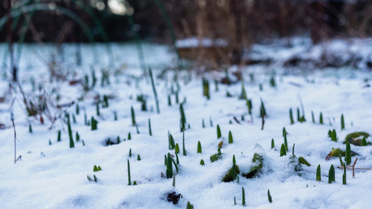 Planting A Paradigm Shift