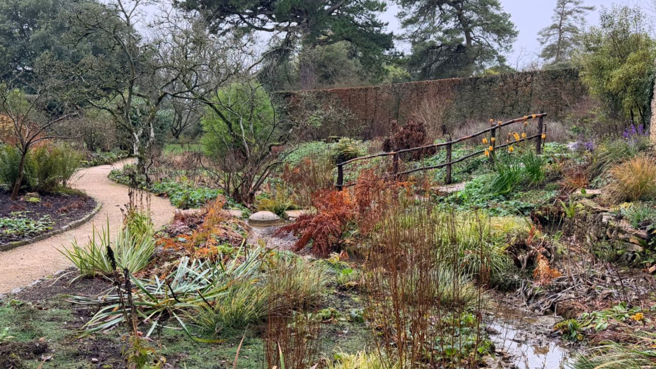 Gardening Through Grief
