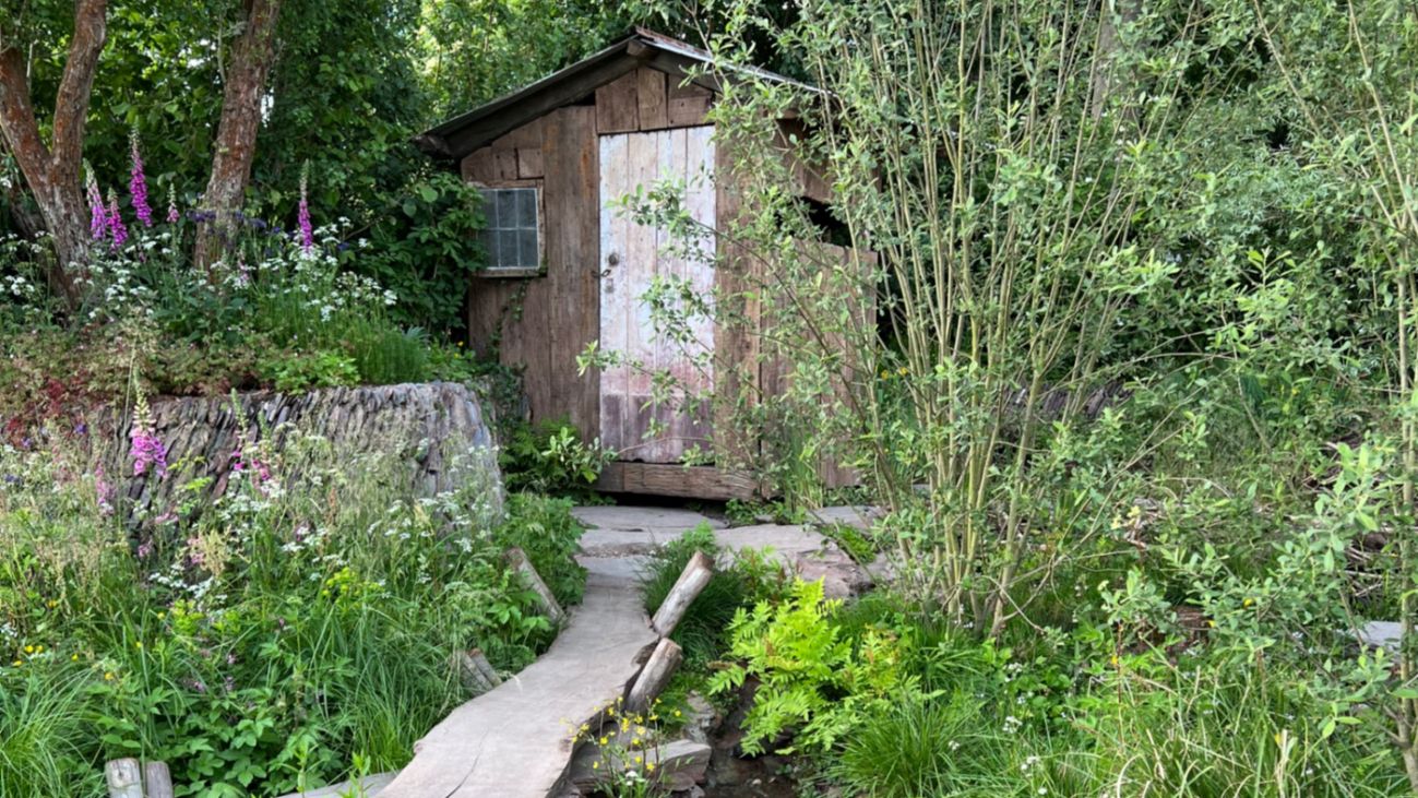 A Wildlife View from Best In Show Designers