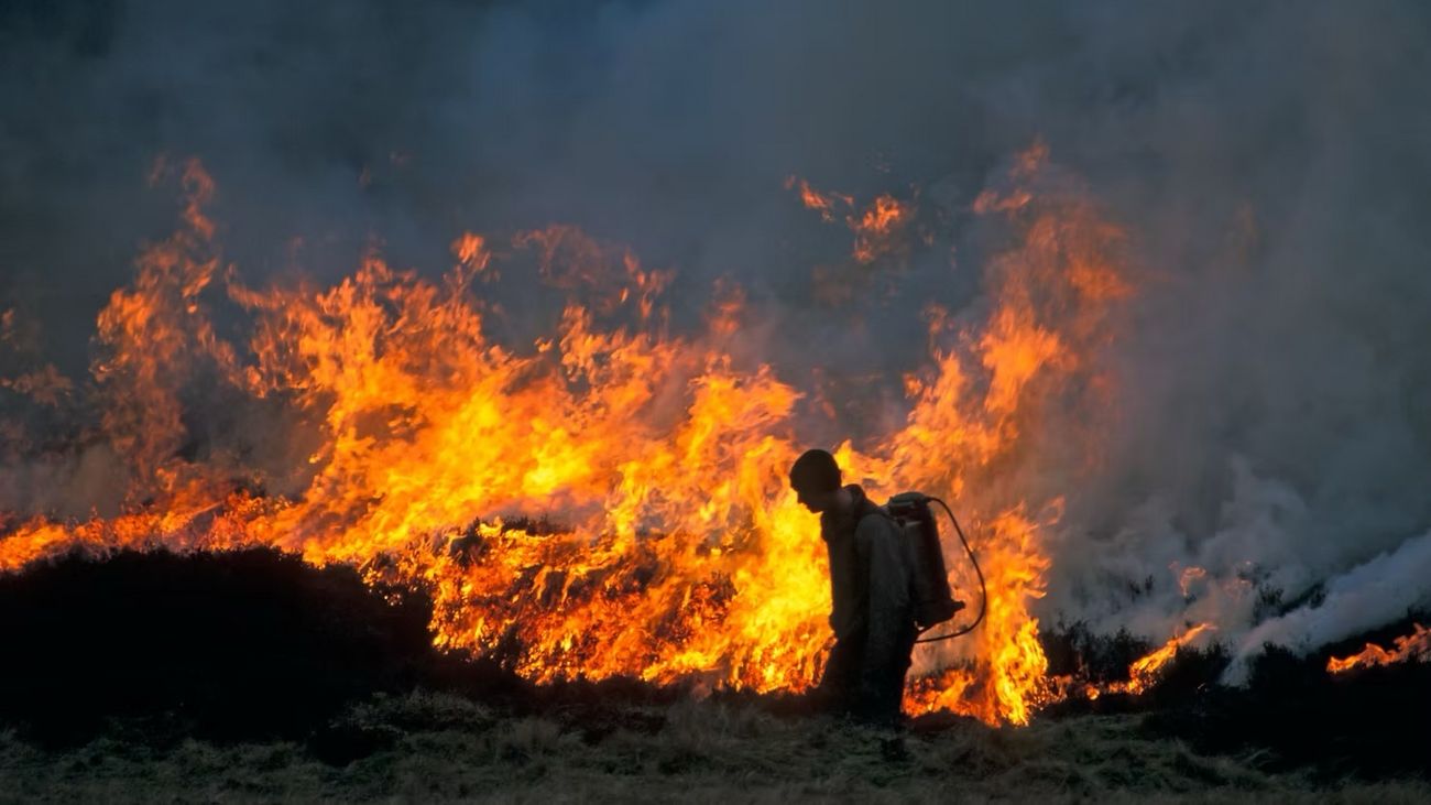 Banning Burns and Lead: Has Britain Gone Bonkers?