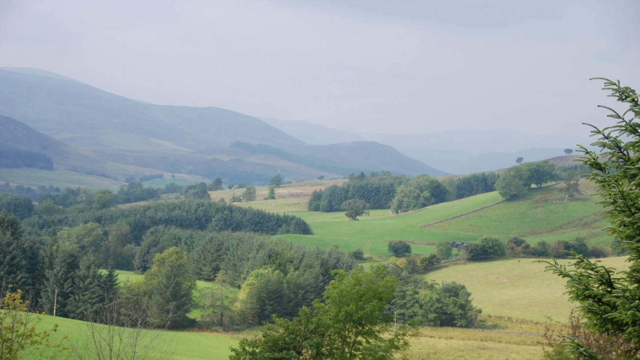 Black Park, North Yorkshire - Availability on GunsOnPegs