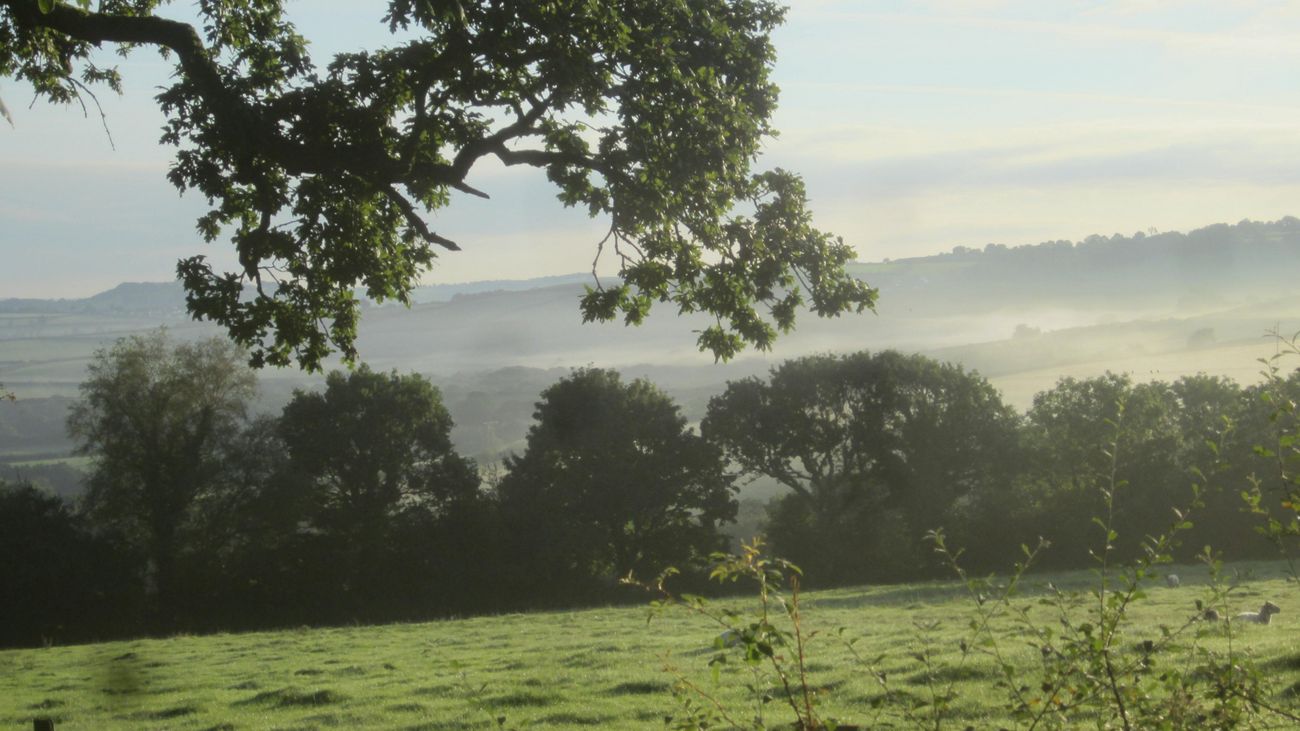 The Bittersweet Tale of a Traditional Farm Sale
