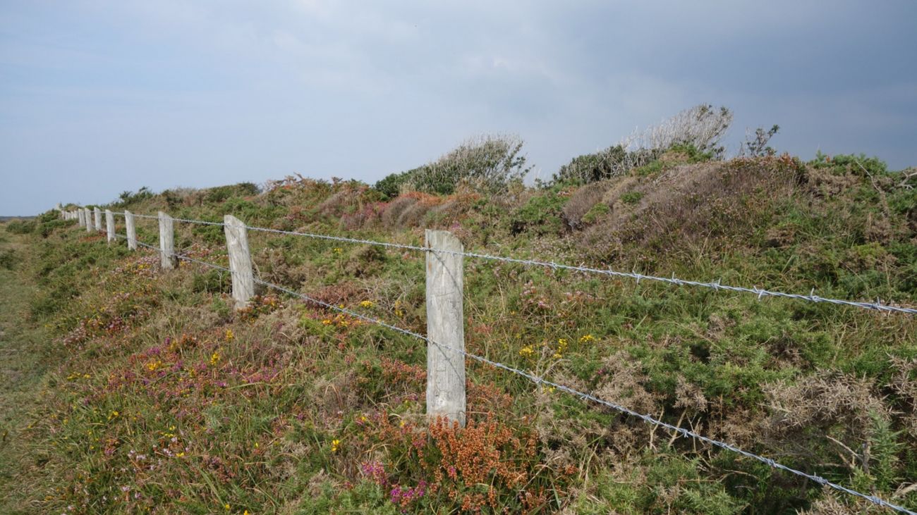 The Twisted History of Barbed Wire