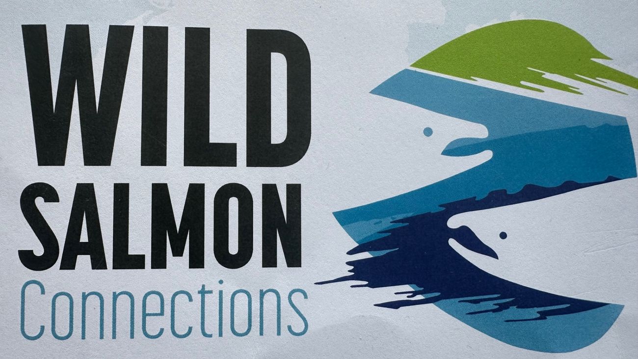 Wild salmon are in crisis but there is hope