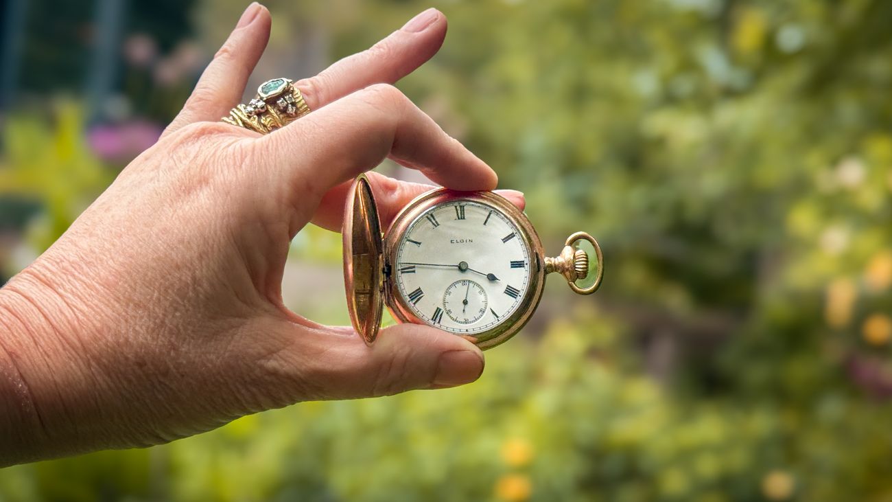 Why October Gardens Are Nature’s Time Machines