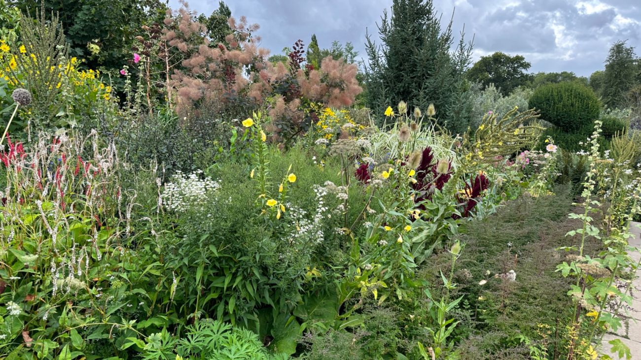 The Mixed Border - Time for a re-brand?