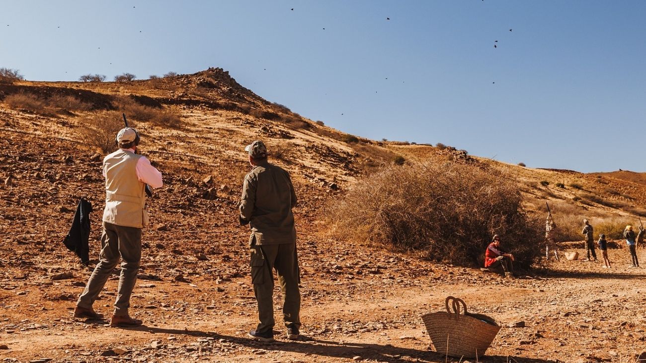 Exclusive Insights into El Koudia's Premier Partridge Shoot