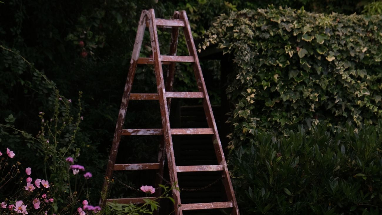 The 40 Lessons Every Gardener Should Learn