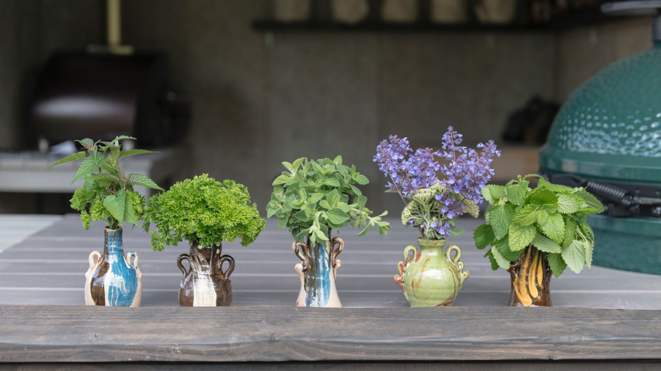 What's Your Desert Island Herb?