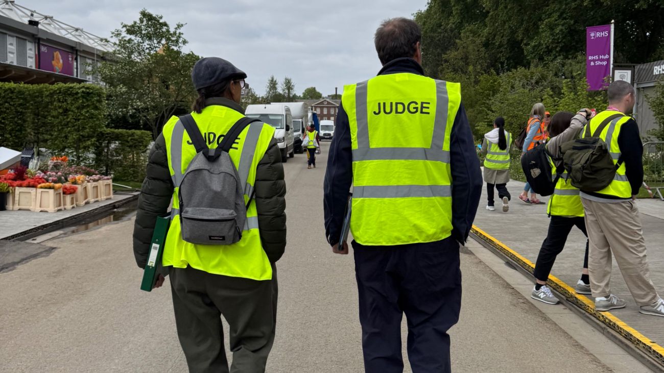 From Dayglo Socks to Chelsea: The Hi-Viz Revolution