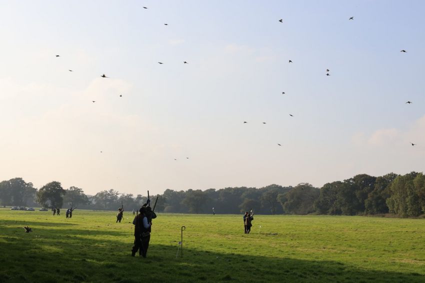 Ryde Farm Estate, Surrey - Availability on GunsOnPegs