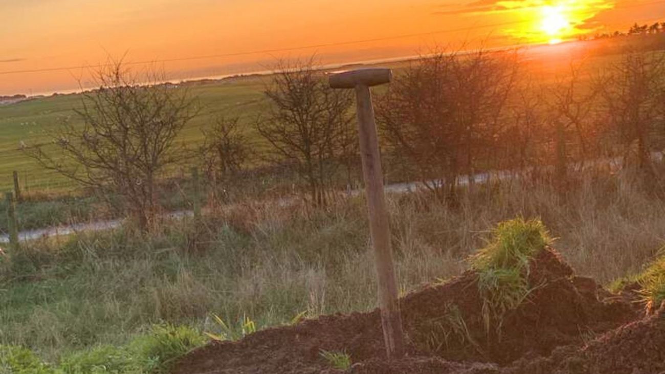 The Pheasant Cycle, Raptors and Thrushes - A Year In Conservation