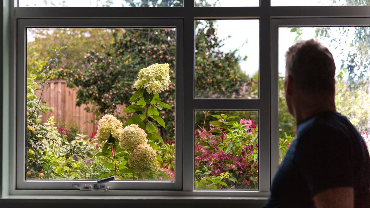 See Your Garden Anew: The Art of Indoor Perspectives