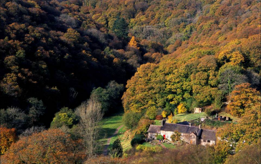 Sporting Club, Somerset Availability on GunsOnPegs